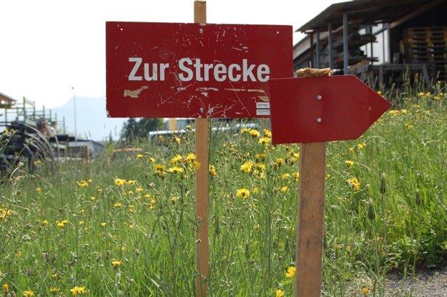 Foto vom Busausflug zum Wandertag 2011 in Altstätten/Schweiz