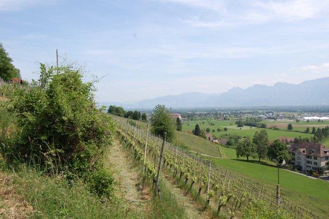 Foto vom Busausflug zum Wandertag 2011 in Altstätten/Schweiz