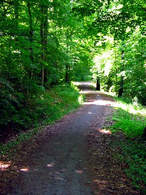 Dornhaldenwald Stuttgart