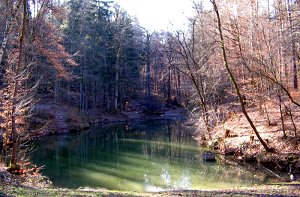 Der Dürrbachsee bei Stuttgart