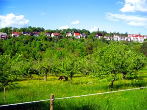 View from Im Kressart Stuttgart