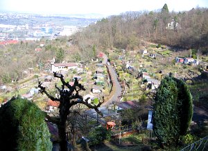 Die Raichberg-Kleingartenanlage in Stuttgart