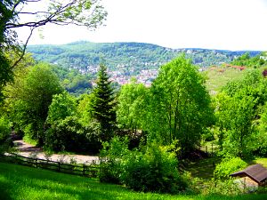 Ausblick Schimmelhüttenplatz Stuttgart